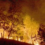 bombeiros-combatem-mais-de-500-incendios-no-rio-de-janeiro