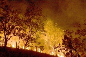 bombeiros-combatem-mais-de-500-incendios-no-rio-de-janeiro