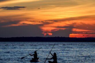 financas-pautam-nova-rodada-da-cop16-da-biodiversidade-em-roma