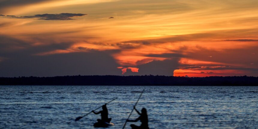 financas-pautam-nova-rodada-da-cop16-da-biodiversidade-em-roma